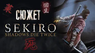 Сюжет Sekiro: Shadows Die Twice