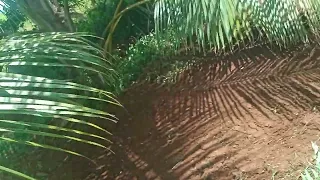 farmtrac atom 26//gomathi rotovator // coconut farm