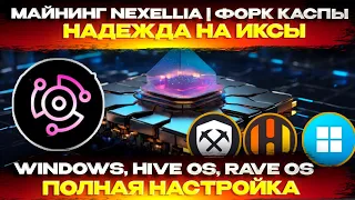 🔥 Надежа на ИКСЫ. Майнинг Nexellia (NXL) Настройка на WINDOWS, HIVE OS и RAVE OS. Веб-кошелек и нода