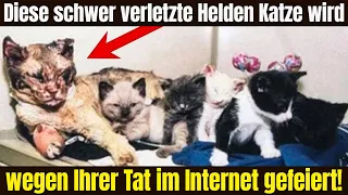 Diese schwer verletzte Helden Katze wird wegen Ihrer Tat im Internet gefeiert!