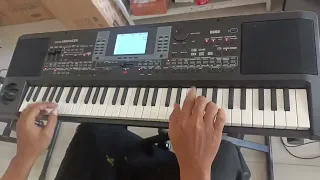 Korg Micro Arranger, serta penjelasan kekurangan dan kelebihannya.