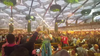 Woman downs a stein in Hofbräuhaus tent Oktoberfest 2016