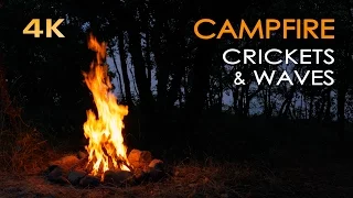 4K Campfire by the Sea - Crickets & Ocean Waves - Night Forest Nature Sounds - Relaxing Fireplace