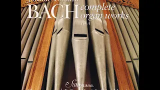 J. S. Bach - Complete Organ Works played on Silbermann Organs - CD 04/19