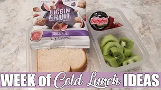 Easy On the Go Cold Lunch Ideas for School & Work | October 2019