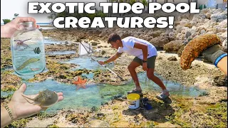 Catching EXOTIC Creatures Out Of TIDE POOLS!! *Crazy Finds*