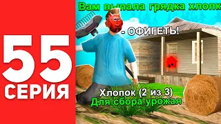 ПУТЬ БОМЖА в САМП #55 - ВЫБИЛ ГРЯДКУ ЗА 40КК НА АРИЗОНА РП!