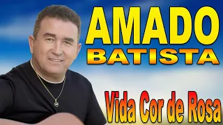 amado batista vida cor de rosa