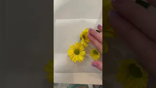 🌼 DIY Pressed Flowers in Book 🌼 #tutorial