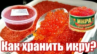 Храните икру только так! Как где и сколько хранить красную икру? Как правильно хранить красную икру?