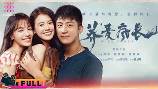 【ENG SUB】《荞麦疯长/Wild Grass》黄景瑜 马思纯 钟楚曦 三人为爱疯狂｜黄景瑜 马思纯 钟楚曦 王砚辉【捷成华视华语影院】