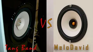 Широкополосный динамик Tang Band VS MeloDavid