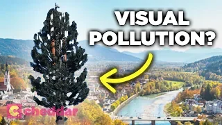 Why Cell Towers Are Being Disguised As Trees - Cheddar Explains