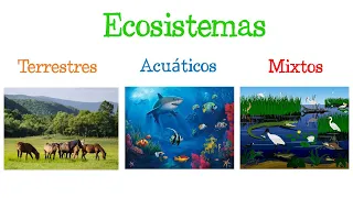 🌎 Los ECOSISTEMAS y sus TIPOS 🐝 [Fácil y Rápido] | BIOLOGÍA |