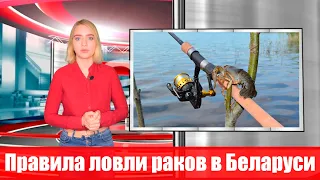 Что нужно знать о правилах ловли раков в Беларуси?