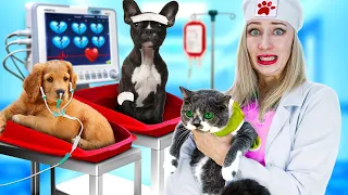 Extreme Pet Rescue in Hospital! Genius Hacks for Smart Pet Owners By Crafty Hype