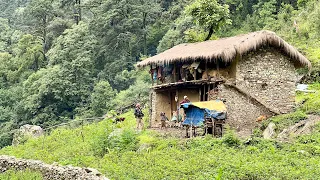 Surviving Life in Nepali Mountains during the Rainy Season | Very Peaceful and Relaxing | IamSuman