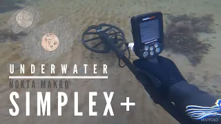 Nokta Makro Simplex+ DOES IT WORK IN SEAWATER? Metal Detecting Underwater