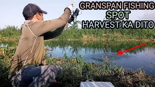HAHARVEST KA DITO GRANSPAN FISHING SPOT LAGUNA LAKE