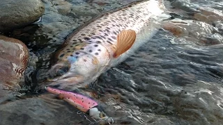 Trout fishing. Fishing in mountain rivers. Report