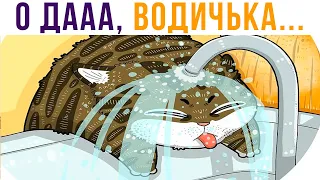 КОТЫ КАЙФУЮТ))) Приколы с котами | Мемозг 693
