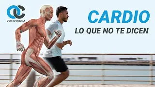 Cardio para perder grasa, lo que debes saber