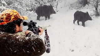 GREAT WILD BOAR HUNTING IN WINTER! | 2021 KIŞ MEVSİMİNİN İLK DOMUZ AVI!