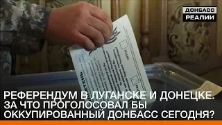 Референдум в Луганске и Донецке. За что проголосовал бы Донбасс сегодня? | «Донбасc.Реалии»