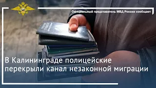 Ирина Волк: В Калининграде полицейские перекрыли канал незаконной миграции