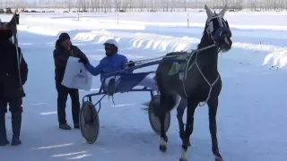 Идофея Белокуриха награждение