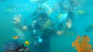 Scuba Diving in Goa India || Goa Scuba Diving