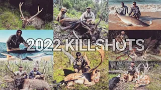 Epic Kill Shots 2022 - Hunting Sambar Stags - Bucks - 300PRC - 7MM REM Mag - 338LAP - Shark Fishing