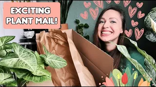 Emotional SURPRISE FANCY HOUSEPLANT UNBOXING *I cried*