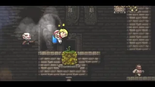 Spelunky - All Damsels 6:28.476 [WR]