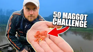 The Ultimate Carp Fishing Challenge: 50lbs with 50 Maggots