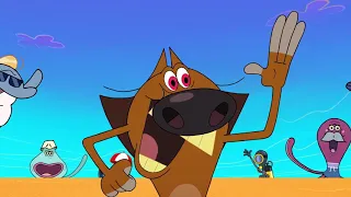 Zig & Sharko - PERSONAL EFFORT (S02)  | Double episode _ Full Episode in HD