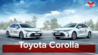 Новая Toyota Corolla 2019: Почти Avensis? Обзор 1.8 hybrid и 1.6 с вариатором от #YouCar #NewCorolla