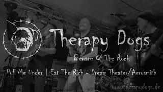 Dream Theater | Aerosmith - Pull The Rich (Live - Rock Cover by Therapy Dogs)