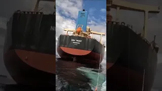 This Guy Was Fishing Off Of This MASSIVE Ship #fishingshorts #fishing #fishinglife #angler