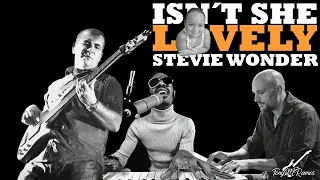 Stevie Wonder - Isnt she lovely (Vinai ver.)  [Cover by TonyMRamos]