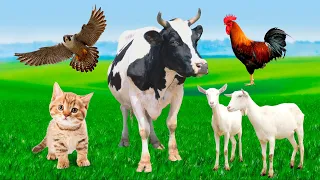 Animais Fofos da Fazenda - Porco, Carneiro, Pato, Vaca...| VÍDEO PARA RELAXAR