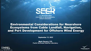 Environmental Considerations for Nearshore Ecosystems from Cable Landfall, Navigation, and Ports