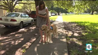 Guide Dog 101