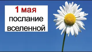 ПОСЛАНИЕ ВСЕЛЕННОЙ на 1 мая. *Эзотерика Для Тебя*