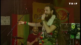 G Ras & The Planeteerz - Live Lockdown Session 'Rebels For Life' at TRIP Budapest 1 May 2020
