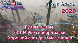 Руины Тширы. Black Desert Фарм серебра 2020. Лучница.