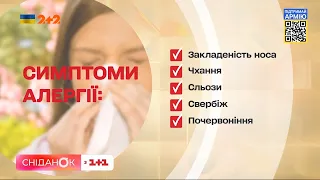 Це називають хворобою 21 століття: наслідки алергії, методи лікування та поради