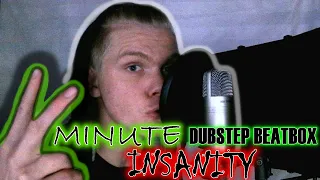 2 MINUTE DUBSTEP BEATBOX INSANITY!! | LEVELS