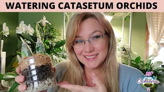 How To Water Catasetum Orchids: 9 Concepts to Master