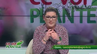 CE VOR PLANTELE CRISTINA GHIBU P2 28 02 2024